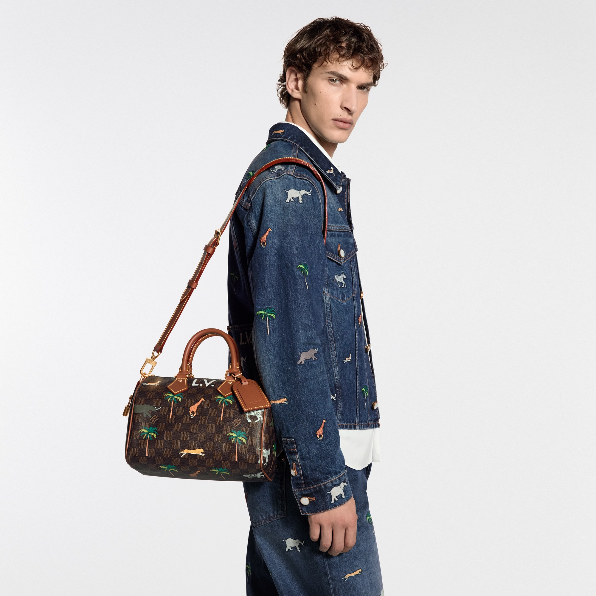 Speedy 25 Bandoulière x The Darjeeling Limited Damier Other - Bags